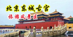 www操逼爽中国北京-东城古宫旅游风景区